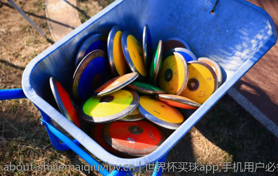 世界杯买球app,手机用户必备的世界杯买球app推荐