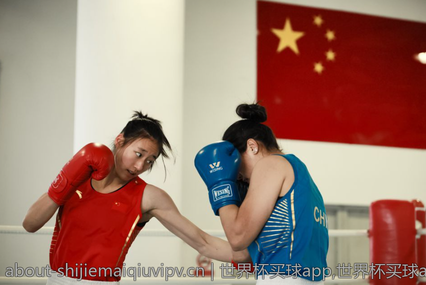 世界杯买球app,世界杯买球app的规则与流程详解